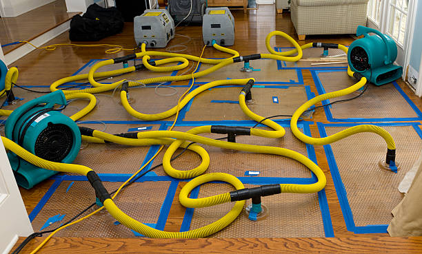 Professional Water Damage Repair technician working in Volant, PA